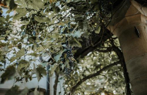 Modern Boho-Style Apartment - Foto 17