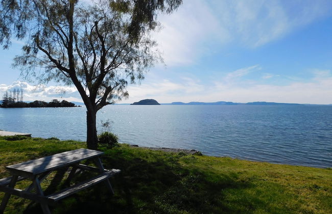 Motutere Bay Top 10 Holiday Park - Photo 61