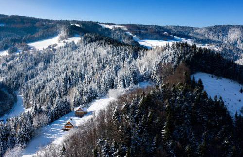 Chata na Kowalówkach - domek w górach - blisko szlaków i wyciągu - Foto 63