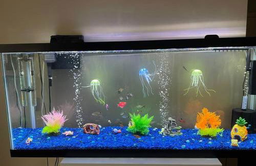 Luxury Apt at the Point Easy Access To and From Downtown 24-7 Parking - Foto 15