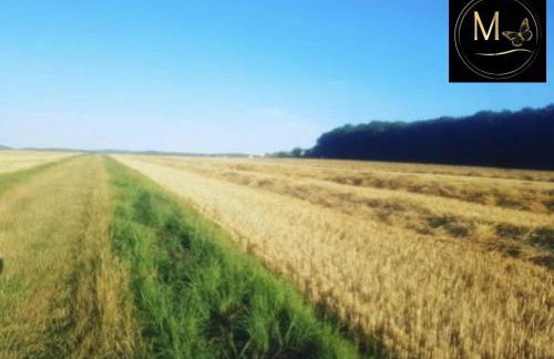 Kleine Sonnenstrahl-Oase - Photo 70