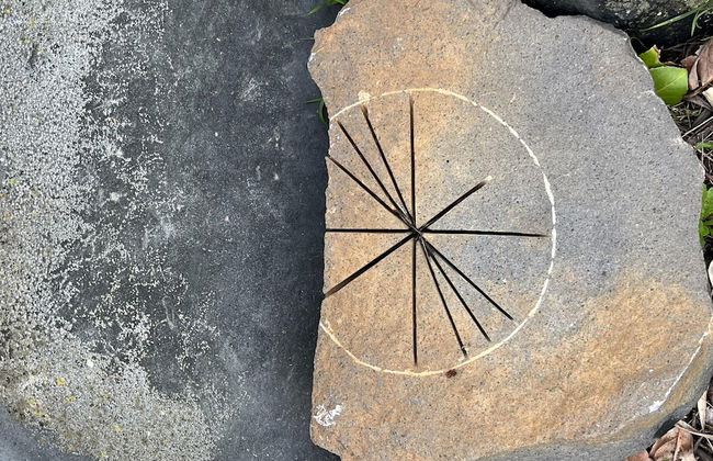 Preta Nera Van Gogh in Giuliano di Roma - Foto 23