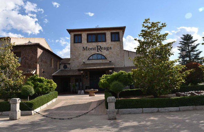 Visita a la bodega Mont Reaga - Foto 5