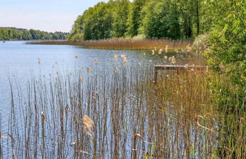 Ferienwohnung Wokuhl-Dabelow - Foto 9