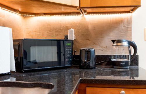 1BR in the Heart of Downtown Boston Famous Nightlife Theater District with Bed Full of Promises TD Garden Common Park MBTA - Foto 19