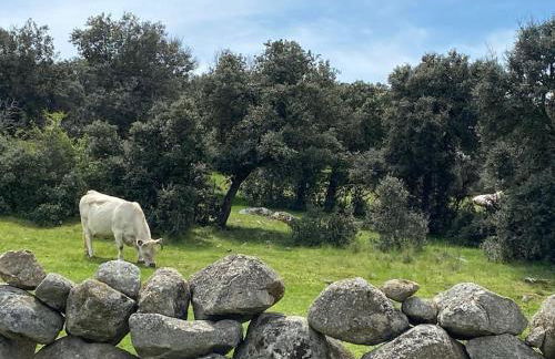 Luz de Luna - Foto 25