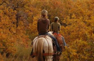 OVER THE RIVER AND THROUGH THE WOODS - Foto 35