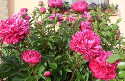 Agriturismo Lama Di Valle Rosa - Photo 128