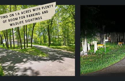 Life Is Good Lodge lakefront with sandy beach - Foto 62