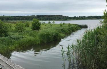 Ferienwohnung am Wald - Foto 38
