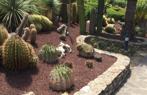 Residence Cala dei Peducelli - Foto 39