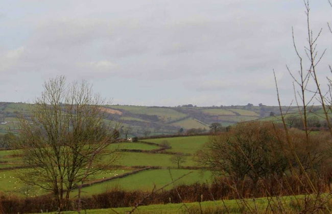 The Shearer's Hut, Sleeps 2, Wood Burner, Fire Pit - Foto 16