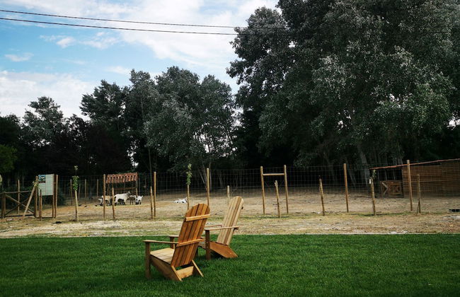 Quinta do Louredo - Photo 50