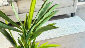 Hot Tub Four Seasons - Foto 5