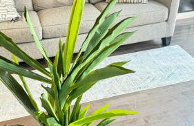 Hot Tub Four Seasons - Foto 5