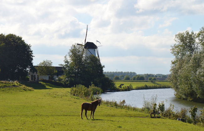 Authentic Mansion in Deil near Lake - Foto 67