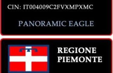 Panoramic Eagle - Photo 43