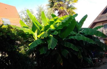 Gästehaus Brunhilde - Foto 15