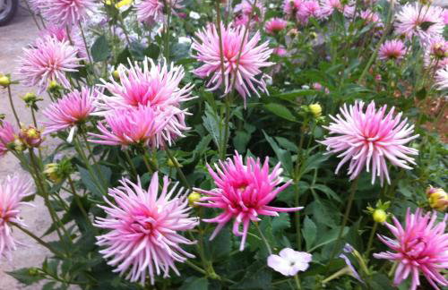 Holiday home Sandra - Foto 50