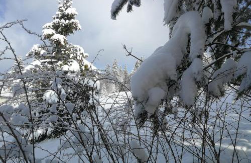 2chałupy - apartamenty w Soli - Foto 69