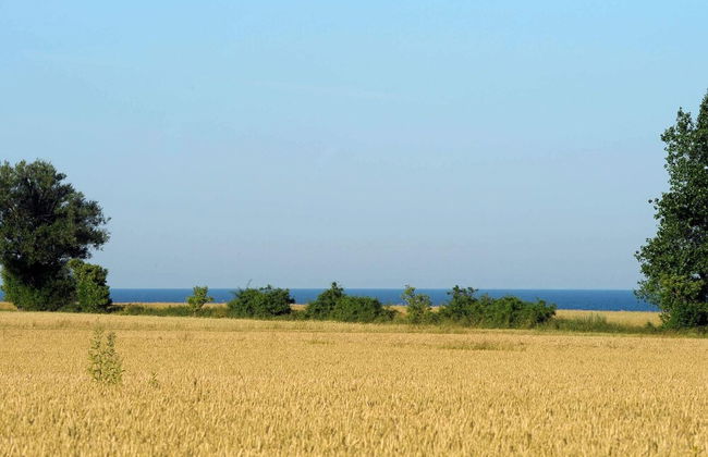 14 Person Holiday Home in Aeroskobing - Foto 46