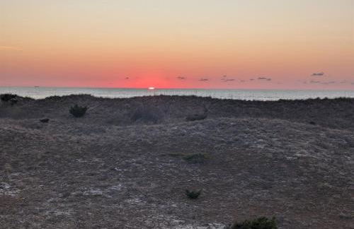 8180 - Looney Dunes - Foto 54