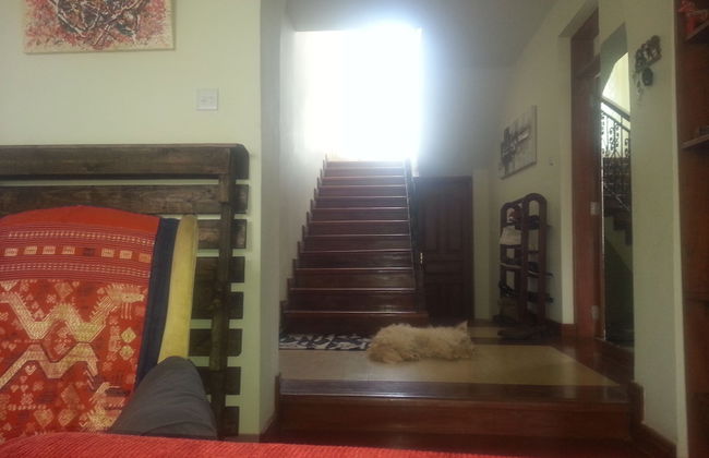 Nature Green - Foto 20