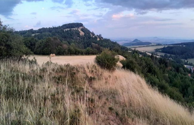 Bedroom Farmhouse by the Woods - Foto 20