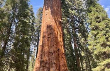 Alta Peak Penzion - Foto 59