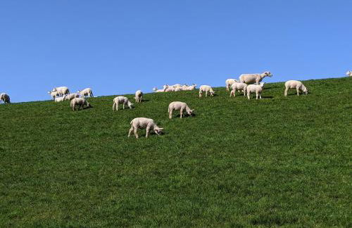 Drei-Insel-Blick Neßmersiel - Foto 31