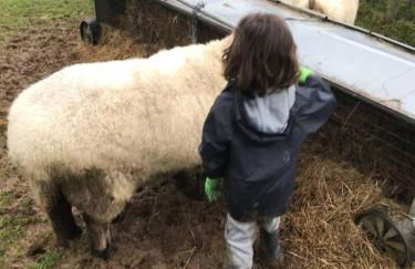 Converted Stone Barn -20 Acres - Farm Animals! - Photo 32