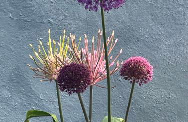 Bramble Cottage on the edge of Exmoor - Foto 4