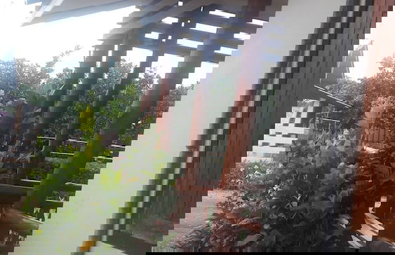 Ramidahost2 - Photo 17