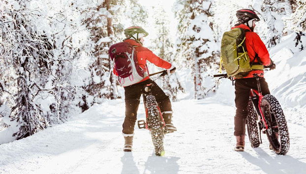 Pyhä-Luosto National Park Electric Bike Tour - Foto 3