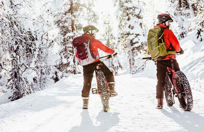 Tour en bicicleta eléctrica por el Parque Nacional Pyhä-Luosto - Foto 3