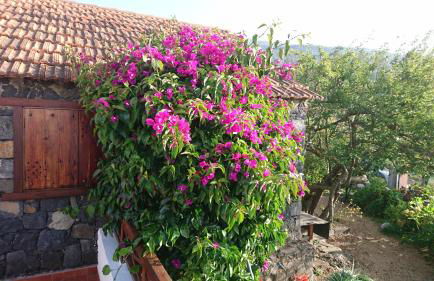 El pajar de Inés - Foto 6