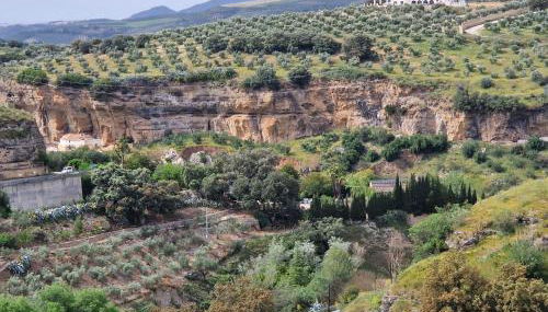 El Aroma del Dulce - Foto 1