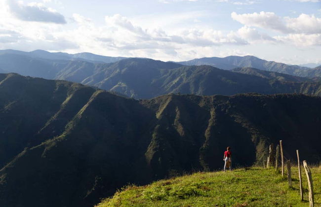 Senderismo por los cafetales de Salgar - Foto 3