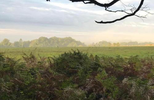 Shepherds Hut Near Exmoor National Park - Foto 70