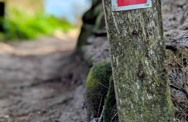 Villa Ty Mogué 4 étoiles Vue mer & SPA privatif, plage et Gr34 à pied - Photo 58