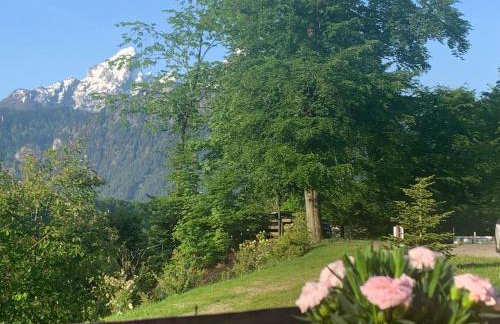 Alpenvilla Berchtesgaden Appartements - Foto 56