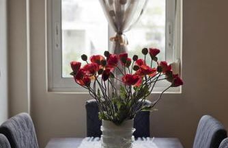 Paradeisos Modern, 2BR, 2BA, Fully Equipped - Foto 38