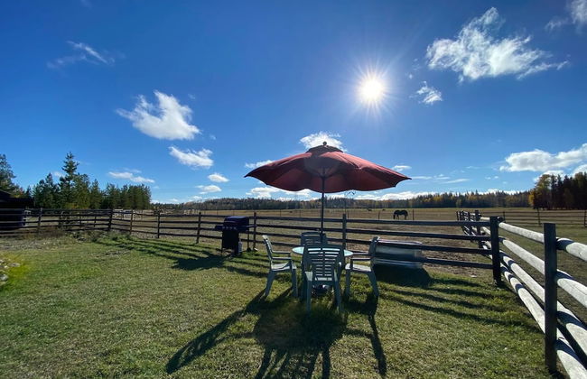 Woodhouse Cottages and Ranch - Foto 43