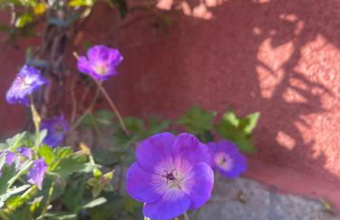 Casa Trasgu para 6 personas en Infiesto - Foto 21