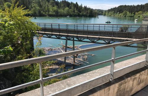 Les 4 gites de la Saisse - Foto 11