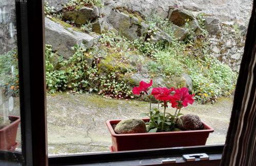 El Naturalista - Los sitios de aravalle - Foto 23