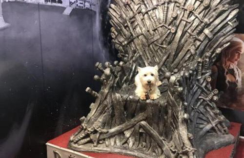 Apartments Carmen & Tosca -Studio with Patio - Foto 35