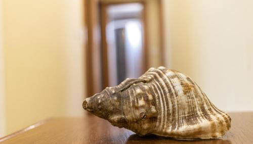 Confortable apartamento en Lekeitio - Foto 3