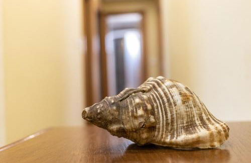 Confortable apartamento en Lekeitio - Foto 3