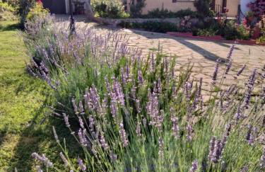 CASA TURÍSTICA Villa Carmen, CON AMPLIO JARDIN QUE INCLUYE BARBACOA, 2 PORCHES, PARKING PRIVADO Y PISCINA - Foto 48